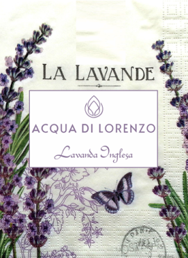 Lavanda Inglesa