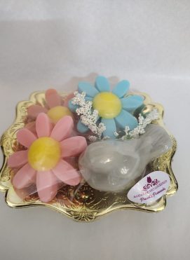 Kit Jardim Secreto